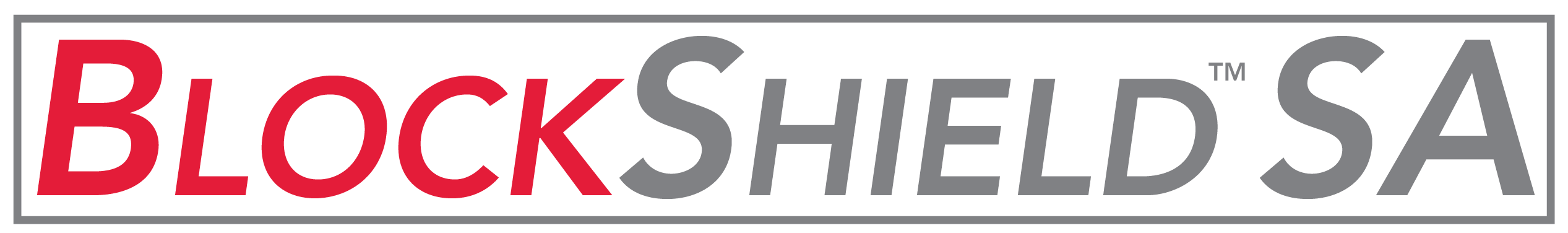 BlockShield SA Logo HighRes 01