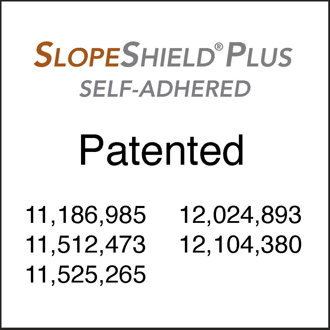 SlopeShield Plus SA Patent Numbers 010225